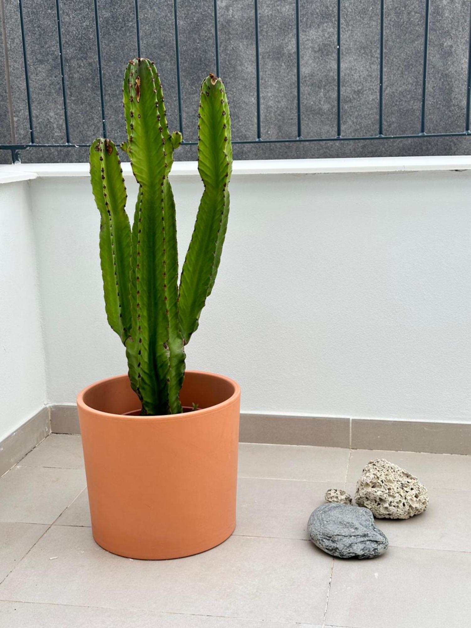 Julia Ancor Beach Abades  Exterior foto
